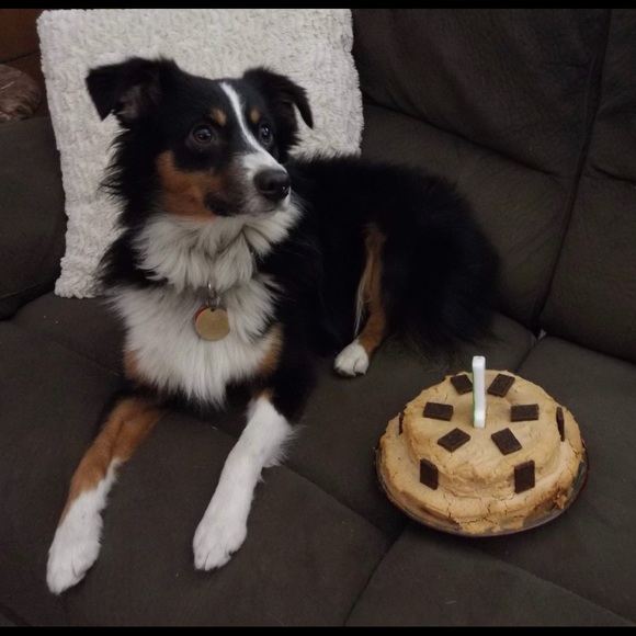 Meet your Posher, Vicki - Picture 7 of 12